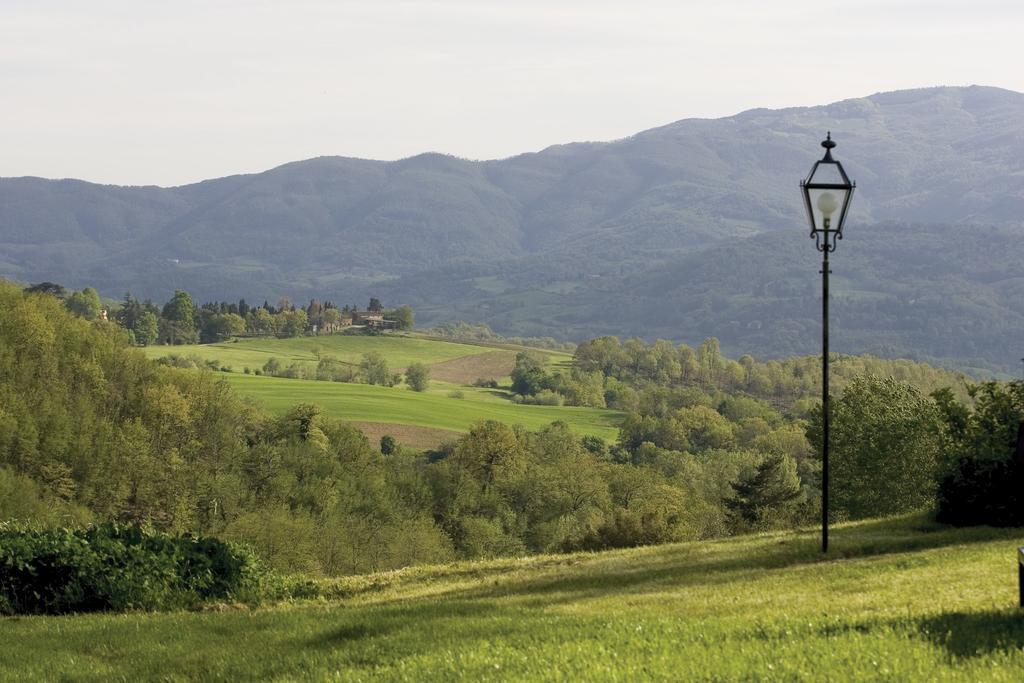 Tenuta Il Cerro Віккьо Номер фото